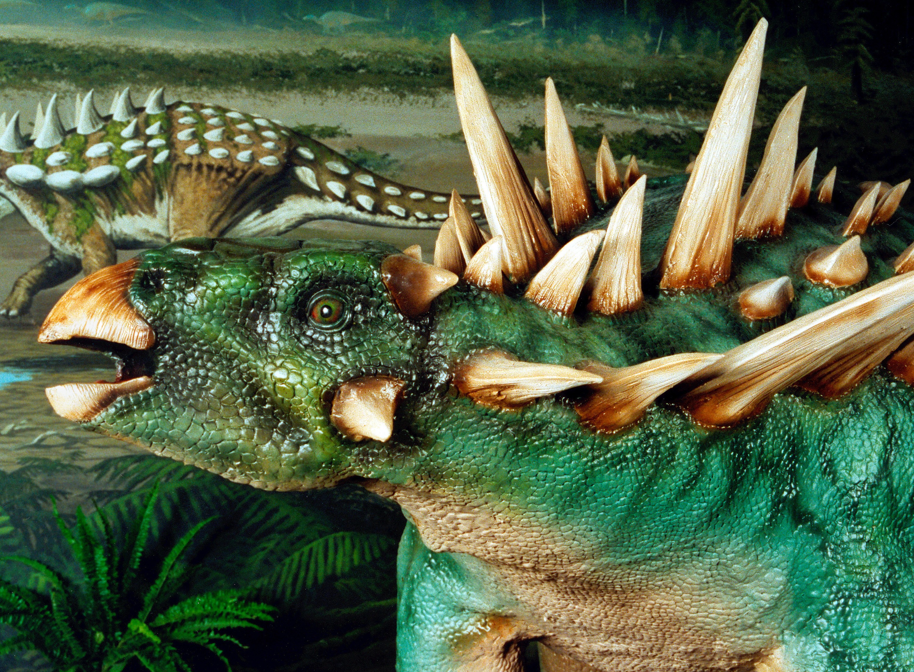 Dinosaur Isle Museum