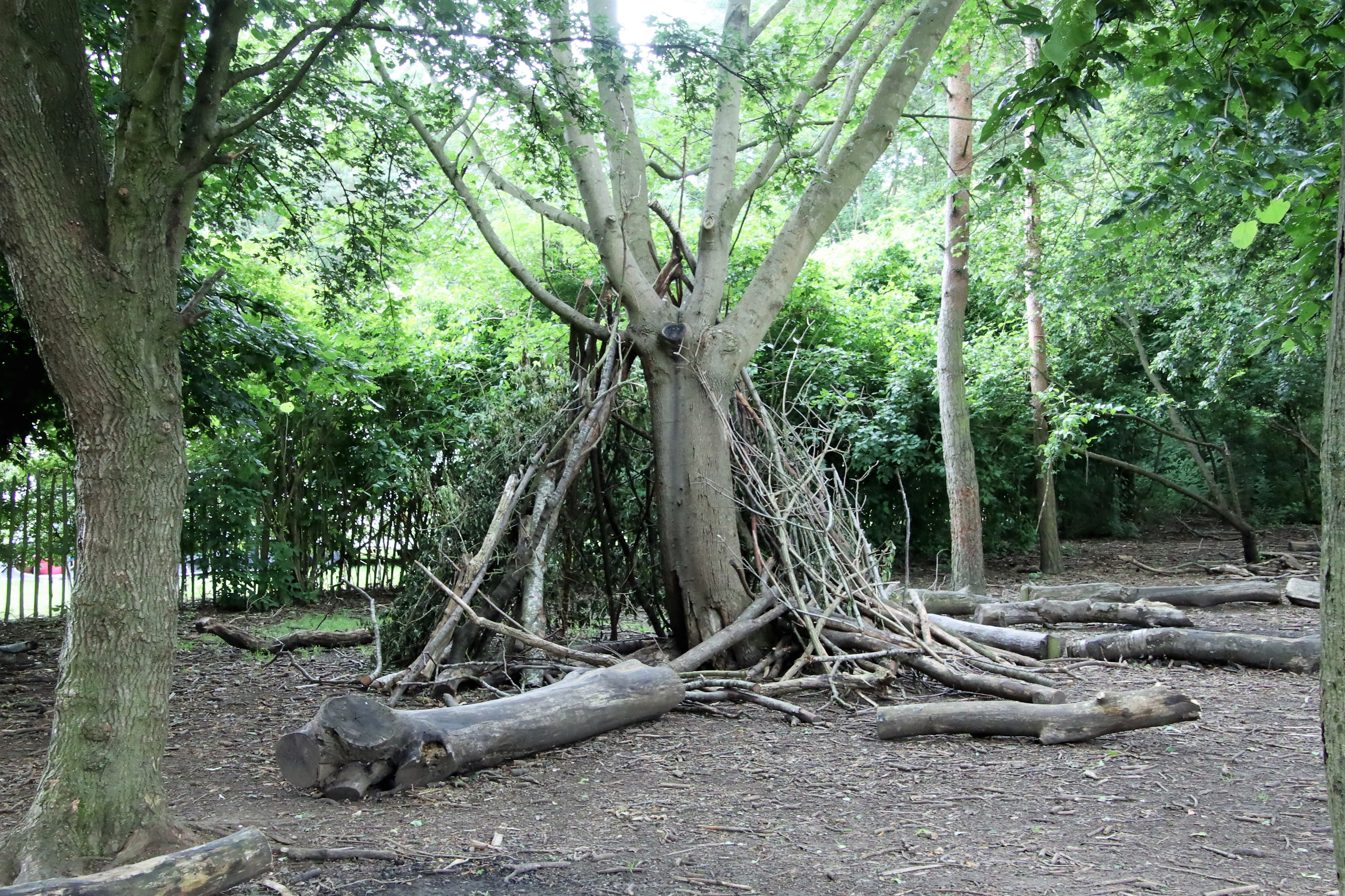 NEW FOREST SCHOOL TRAINING COURSES AT NENE PARK