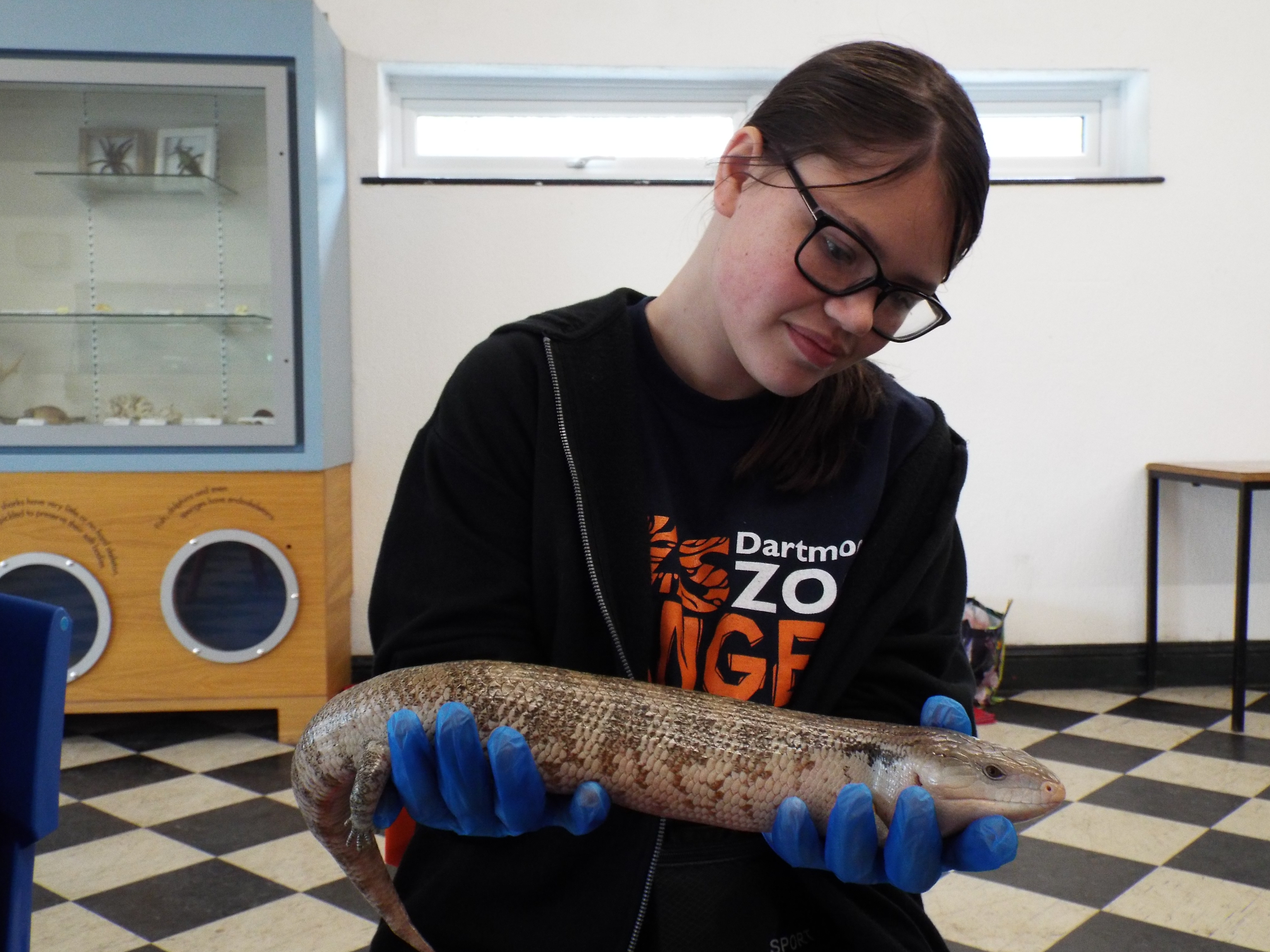 Dartmoor Zoological Society