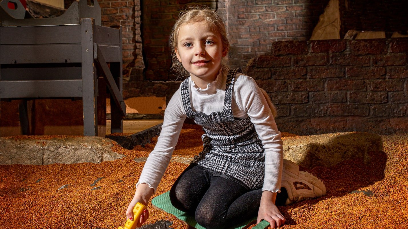 DIG An Archaeological Adventure