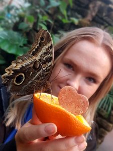 Free - a beautiful marble heart for every visitor who pledges their love at Stratford Butterfly Farm! 229 Free marble heart for every visitor who pledges their love at Stratford Butterfly Farm!