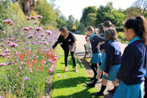 Sheffield Botanical Gardens Education Programme 46