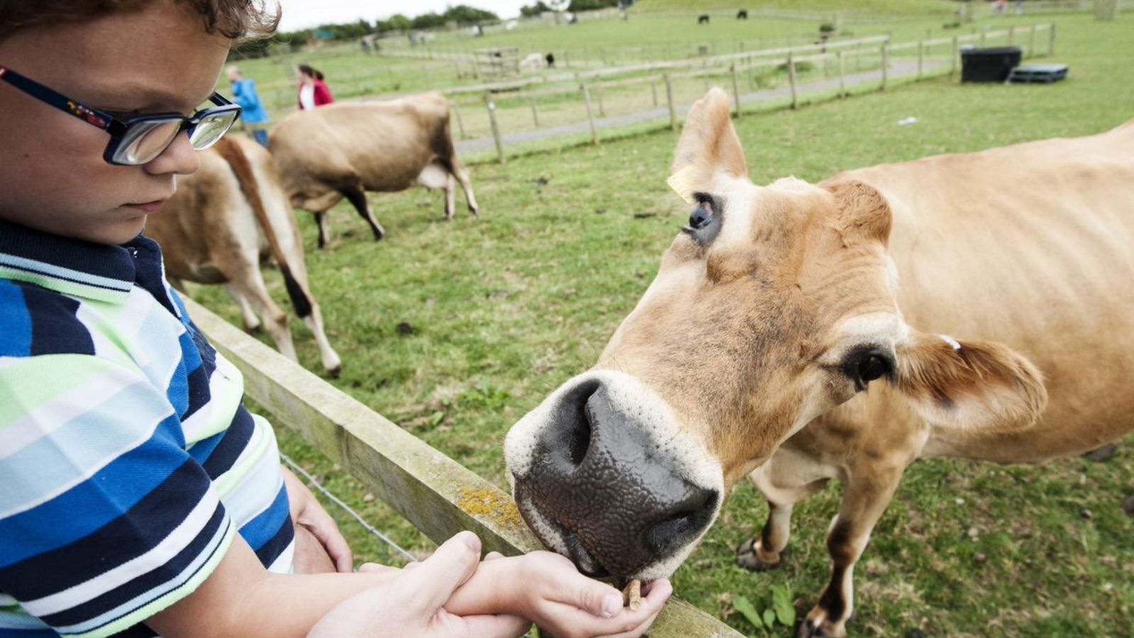 National Forest Adventure Farm