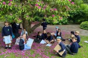 Sheffield Botanical Gardens Education Programme