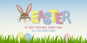 Easter at West Midland Safari Park