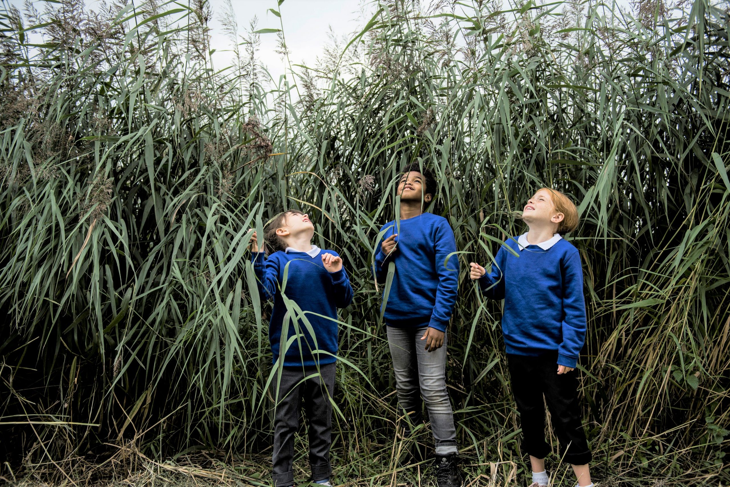 FREE NATURE-CONNECTION PROGRAMME FOR SCHOOLS