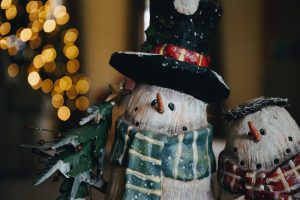 Christmas Visits at Bressingham 23 Christmas Visits at Bressingham