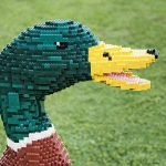 LEGO® Brick Wetland Safari 121