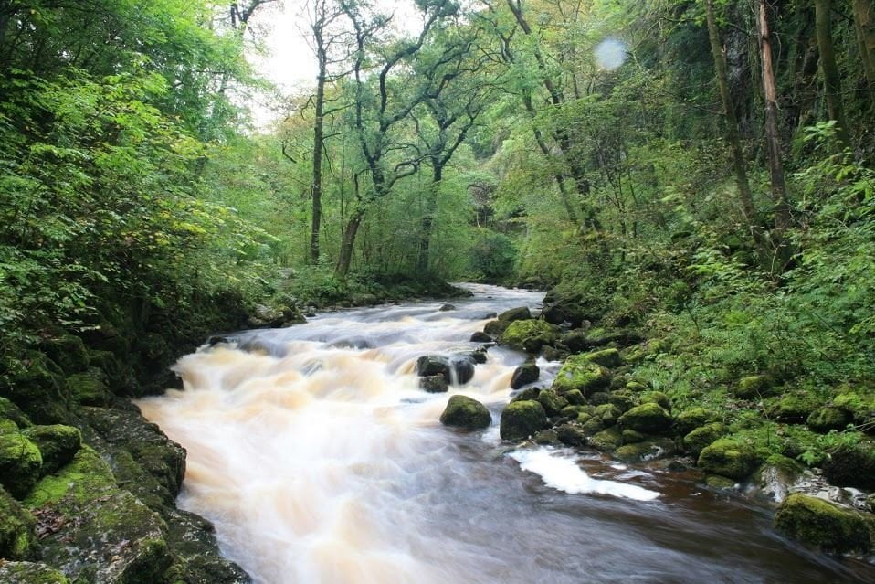 Ingleton Waterfalls Trail